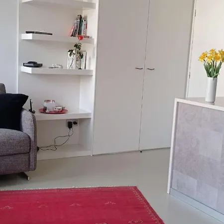 Saint-jean De Luz, Proche Du Centre - 2/4 Personnes - 3* Apartment *